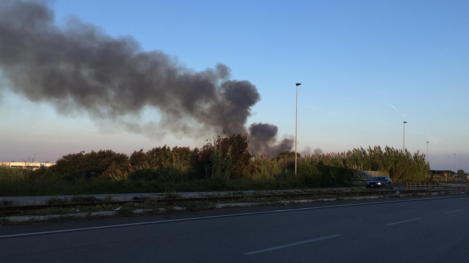 VASTO INCENDIO NELLA ZONA INDUSTRIALE DI BRINDISI. A FUOCO IL CANNETO ...